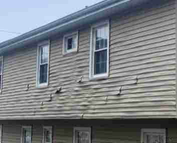 How to Protect Your Home’s Vinyl Siding This Summer